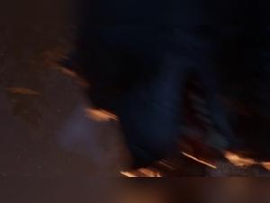 Naughty wolf discovers his prey in a bestial animation