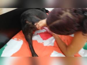 Dog Sex XXX: Laugh-Out-Loud Video