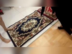 Zoophilia video: Extreme experience with a dog