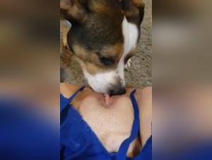 Submissive female dog and her four-legged friend