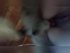 animal fucking k9 dog