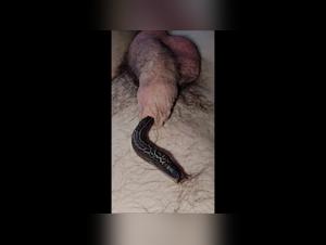 Crazy Dick: A Bestial and Exciting Encounter