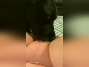 Zoophilia scene: a woman is taken by a dog