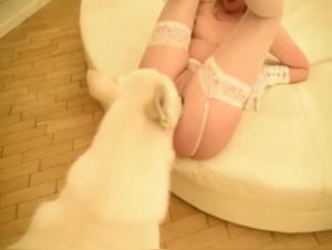 Godiva's Shocking Encounter