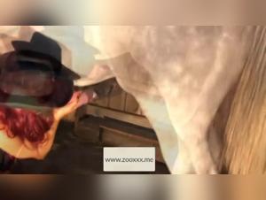 Documentary on bestiality in porn: extreme videos