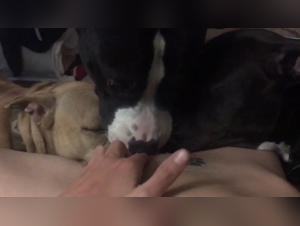 Woman and Dog: An Intimate Encounter