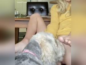 Blonde and her dog in a bestiality sex video