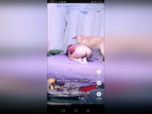 Bestiality: An Intense and Forbidden Experience