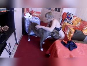 Bestiality in the city: lesbian woman fucks dog in Moscow streets