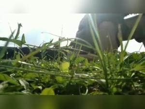 Bestial Encounter: Amateur and Homemade Dog Sex Videos