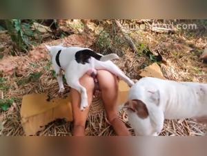 Dog porn featuring Alison in luxurious scenes for men