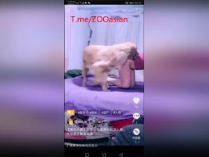 Salope chinoise baise chien live