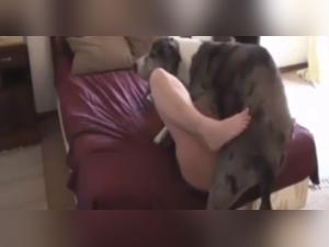 Bestiality: a woman and her dog in a shocking video