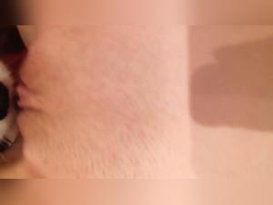 Bestiality sex video with dog