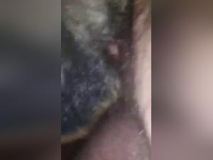 Woman and dog: a forbidden meeting on video