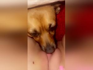 Forbidden Desires: Canine Fantasies Xnxxzoo