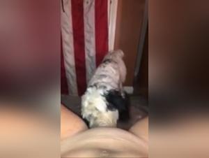 Intimate moments with my dog: an exciting bestiality video