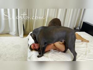 Delving into the Forbidden Realm of Zoophilia