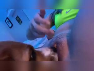 Video of Sex with a Dog