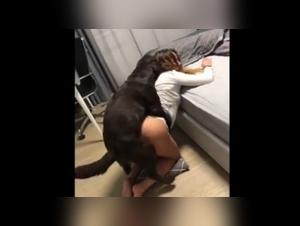 bestialityporn collection