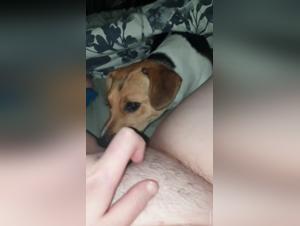 Forbidden Love: A Man and His Dog