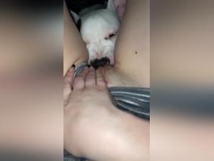 Fuga de video: sexo con perro, adicción salvaje
