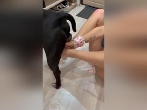 The Zoophile Literature: A Passionate Love Story Between Girl and Cat