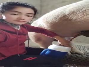 Ejaculating Like a Wild Animal: F***ing a Dog