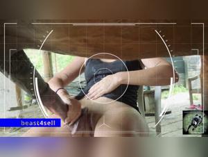 animal porn zoo filia