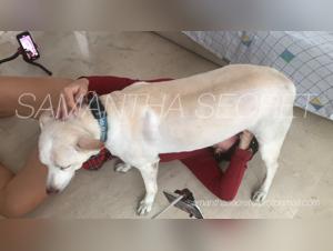 Forbidden Discoveries: Zooporn Realm