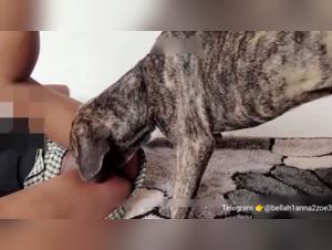 An Intimate Meeting with My Four-Legged Best Friend