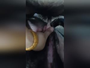 extreme dog fucking videos