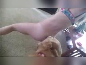 Homemade video of sex with a dog - Extreme bestiality