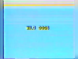 The Best Sex Videos with Dogs