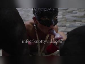 Video excerpt bestiality: a unique experience