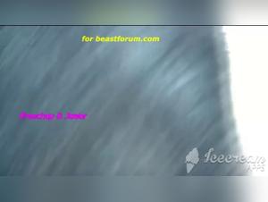 Zoophilia Video: Sweet Innocence and Dog