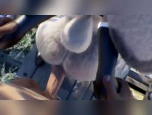 SALA 'ANKHA' - A shocking and exciting story of bestiality