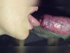 The hottest animal sex videos