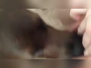 Bestiality Sex Video: An Exciting Experience