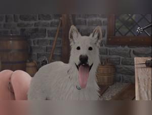 Into the Dark Depths of Zooville