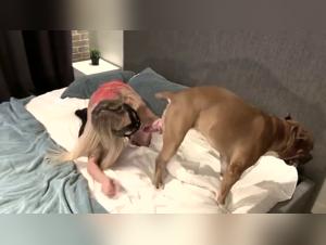 Blonde and hound: a shocking bestiality video