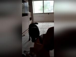 girl bites dog deep, hardcore doggystyle sex