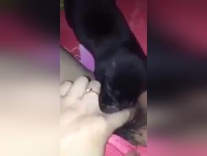Bestiality Sex: Dog licks a woman's intimacy