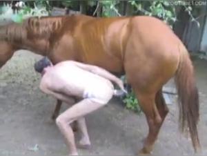 Mature Man and Stallion in Heat: Exciting Bestiality Sex Video