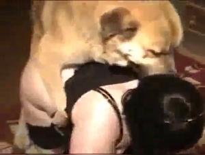 Bestiality videos for extreme sex lovers