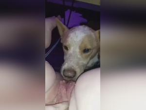 Unveiling Zoobeeg: Uncensored Bestiality