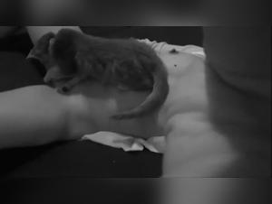 Woman and cat: a unique relationship