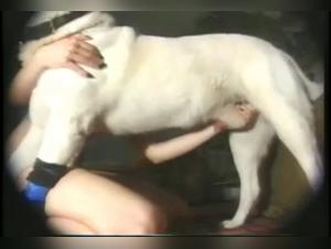 Amateur Video: Labrador fucks his slut