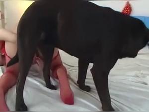 bête sauvage, suce son sexe animal