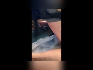 Woman in underwear and dog in bestiality sex scene